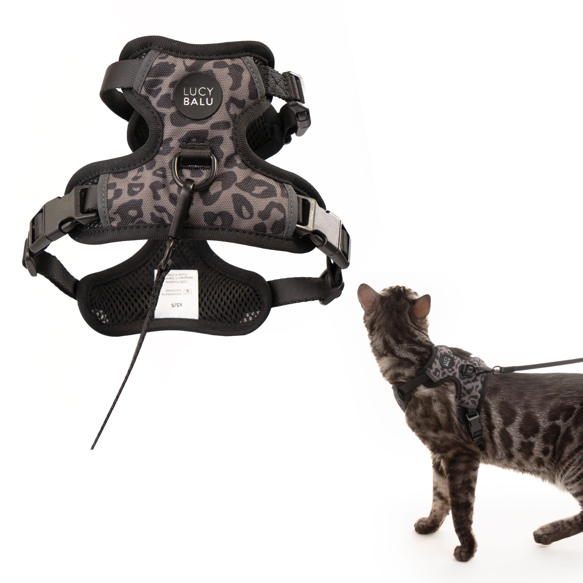 LucyBalu® Explorer Katzengeschirr mit Leine I Brustgeschirr-Set mit Fach für AirTag I gepolstert, atmungsaktiv & verstellbar I 1,5 m Katzenleine I Leo XS/S