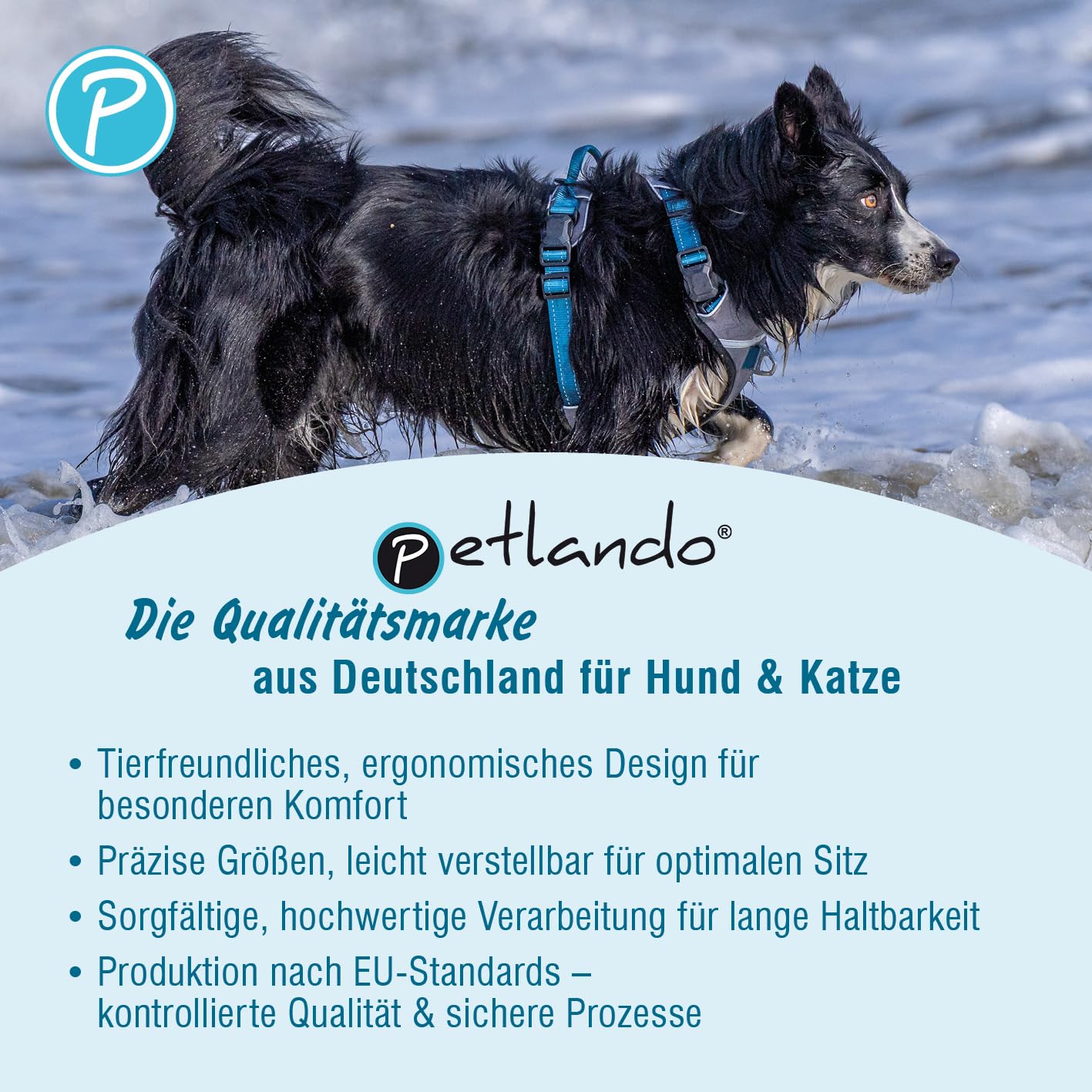Petlando Hundegeschirr Magnetech– Innovative Magnetschnalle, mit Griff, Zwei D-Ringe, reflektierend, atmungsaktiv – Navy/Fuchsia, M (Halsumfang 42-54cm, Brustumfang 56-68cm), mittelgroße Hunde