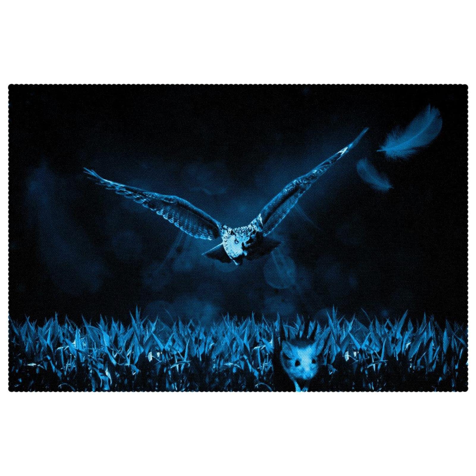Sets de table antidérapants Blue Hunt Night Nature lot de 6 pièces résistants pour repas