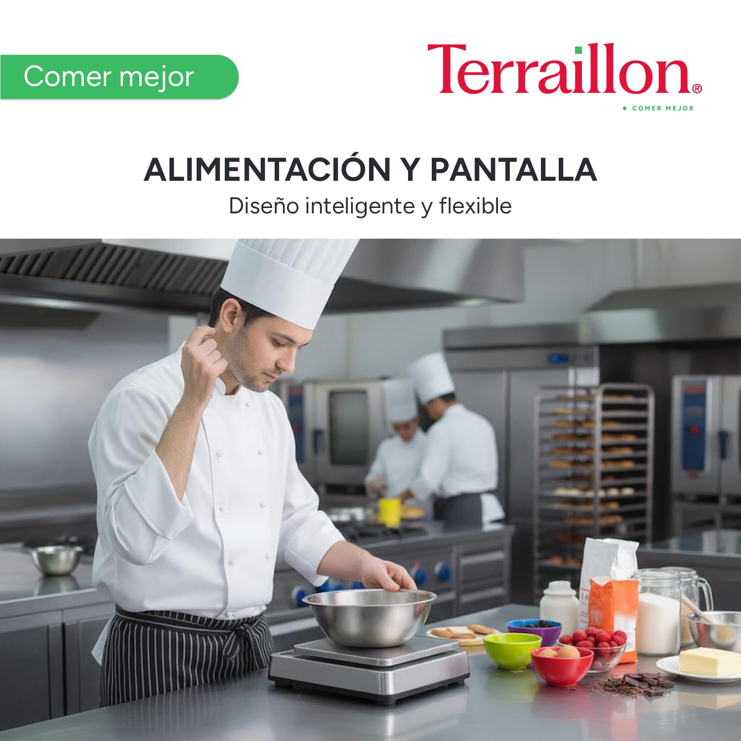 TERRAILLON PRO 10 - Báscula de cocina electrónica profesional, amplia bandeja extraíble de acero inoxidable, 29 x 18 cm, IP67, capacidad 10 kg, graduación 1 g, pantalla LED retroiluminada, acero