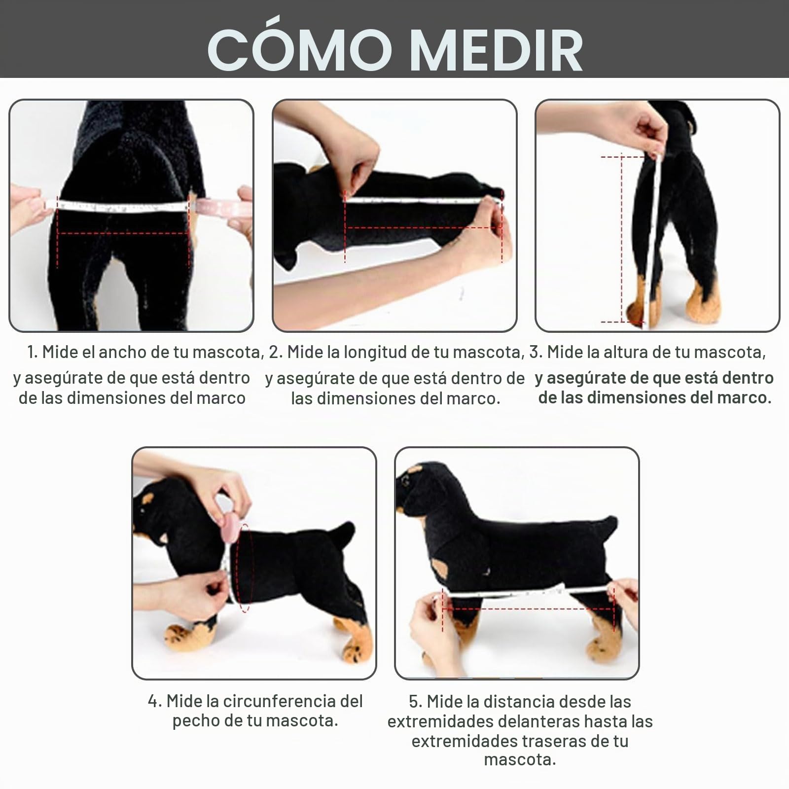 Silla de ruedas para perros con patas traseras, sillas de ruedas plegables de dos ruedas para perros, carro de movilidad ajustable, para perros/gatos pequeños, ideal para parálisis y discapacidad (S(6