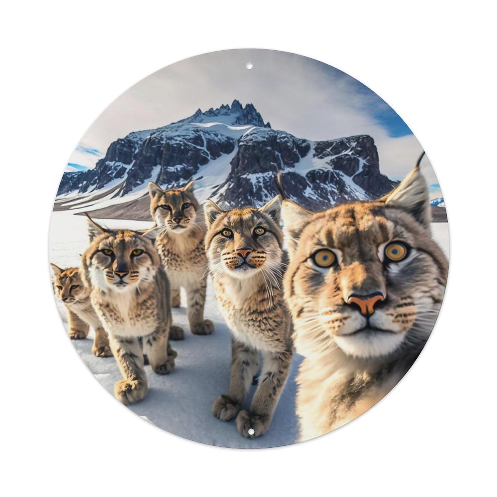 Animal Fierce Lynx Selfie Metal Tin Sign