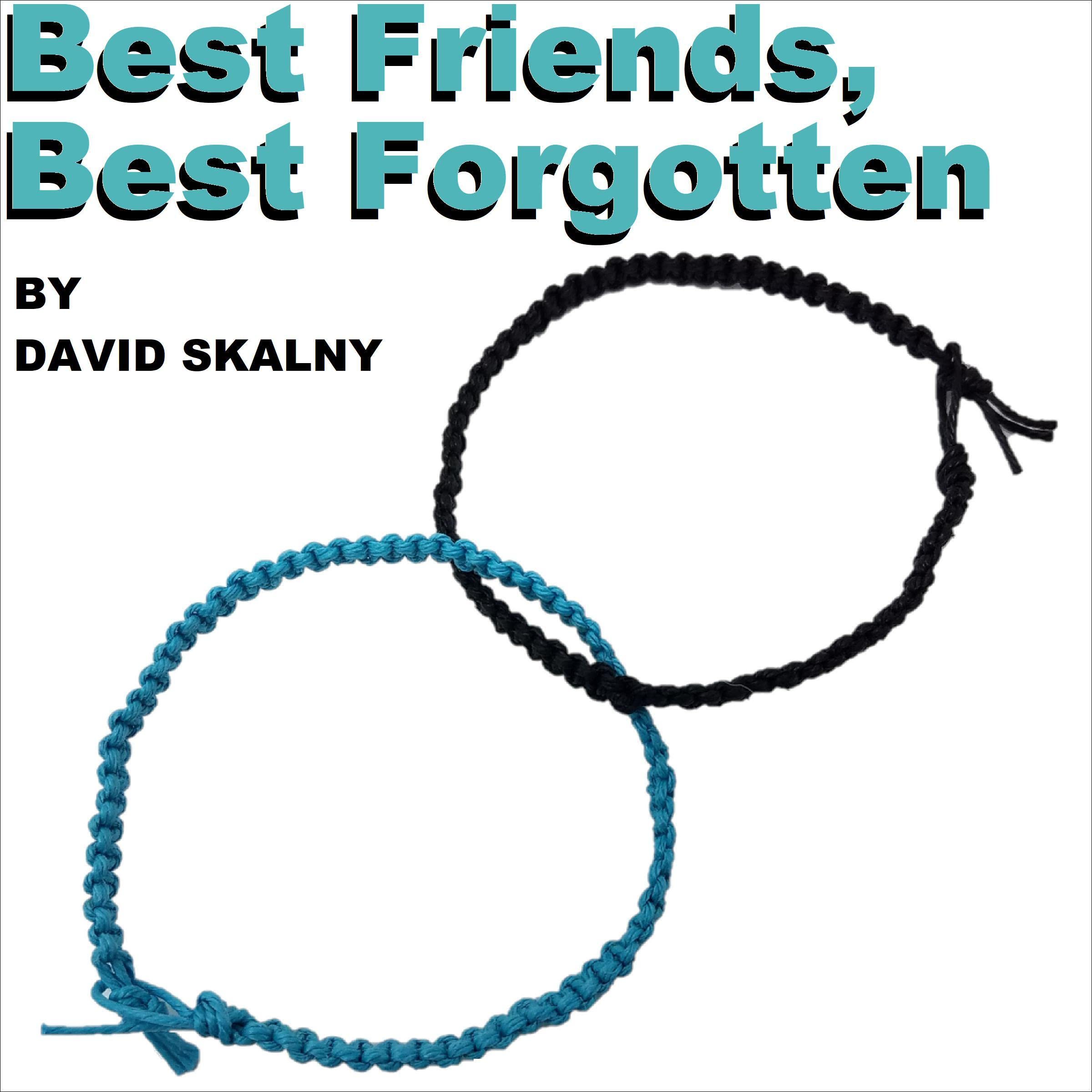 Cover art for Best Friends, Best Forgotten