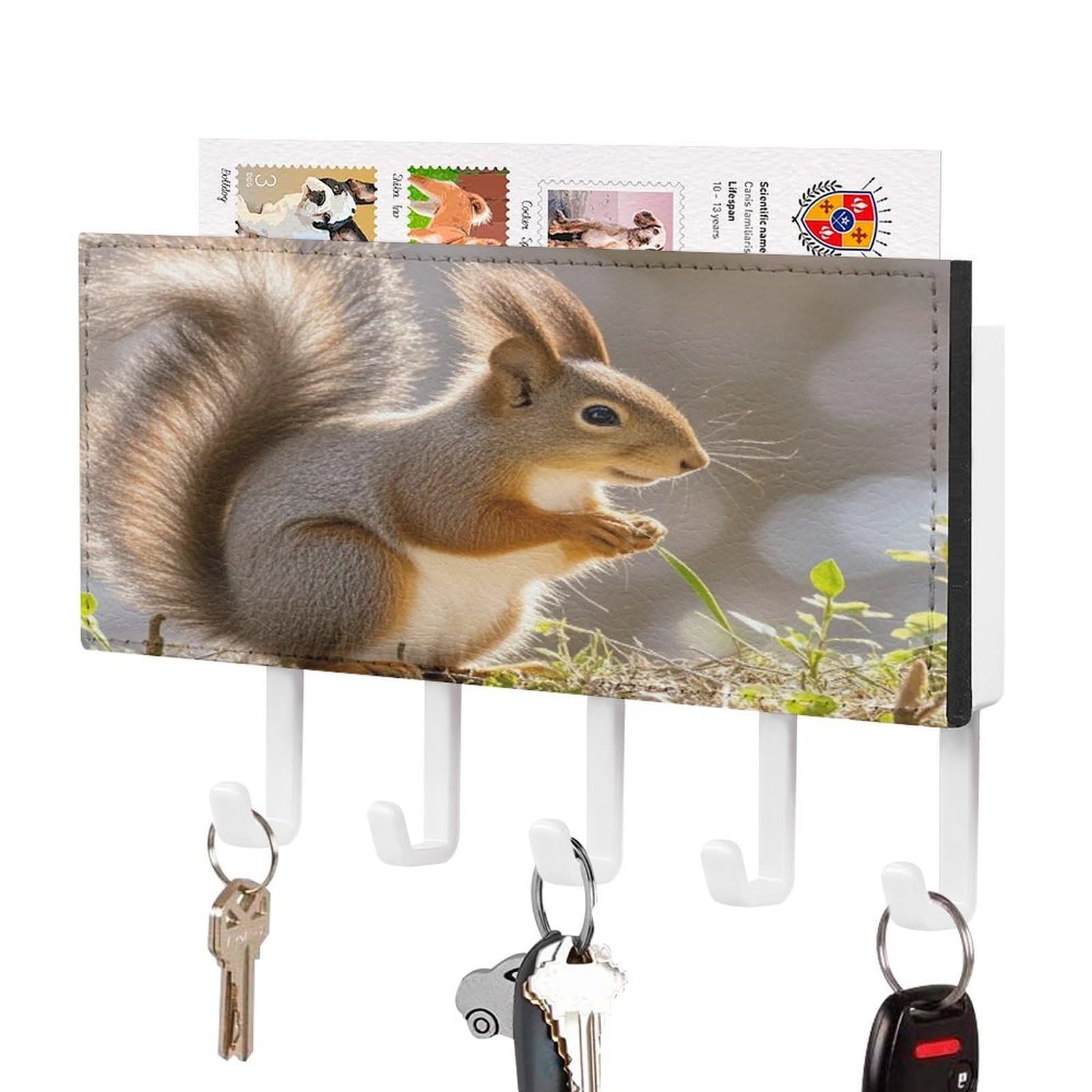 Fekiloot White-Style Squirrel Animal Key Holder Wall Mount Key Hooks For Wall Decorative With 5 Hooks Pu Mail Rack Organizer With Shelf For Entryway Mudroom Hallway Office 7.1X4.3 In
