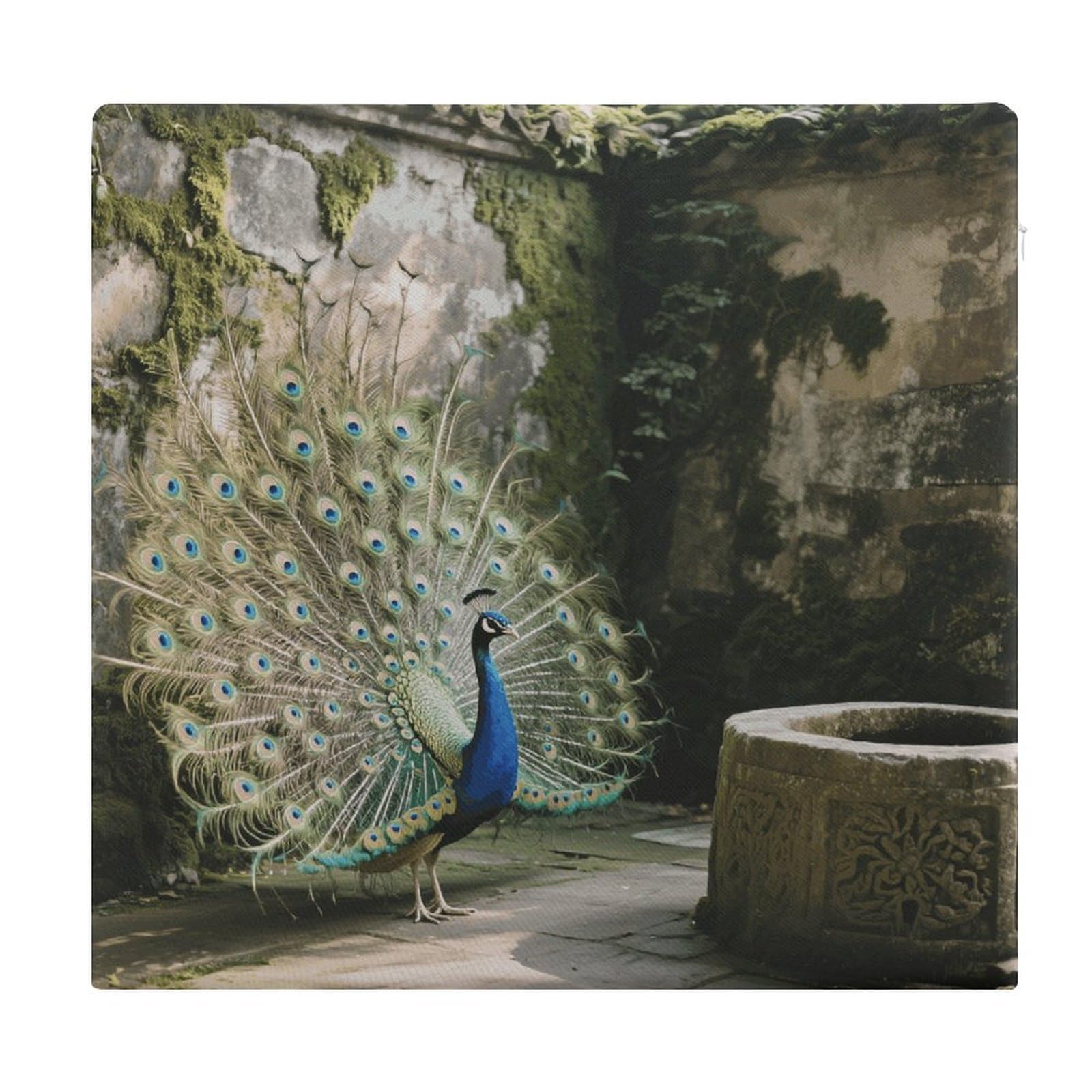 VstaDank Cute Peacock Square Cushion Cute Memory Foam Seat Cushions15x13In Comfort Meditation Floor Pillow Removable Cover Soft Stool Cushion Pillow for Balcony Tatami