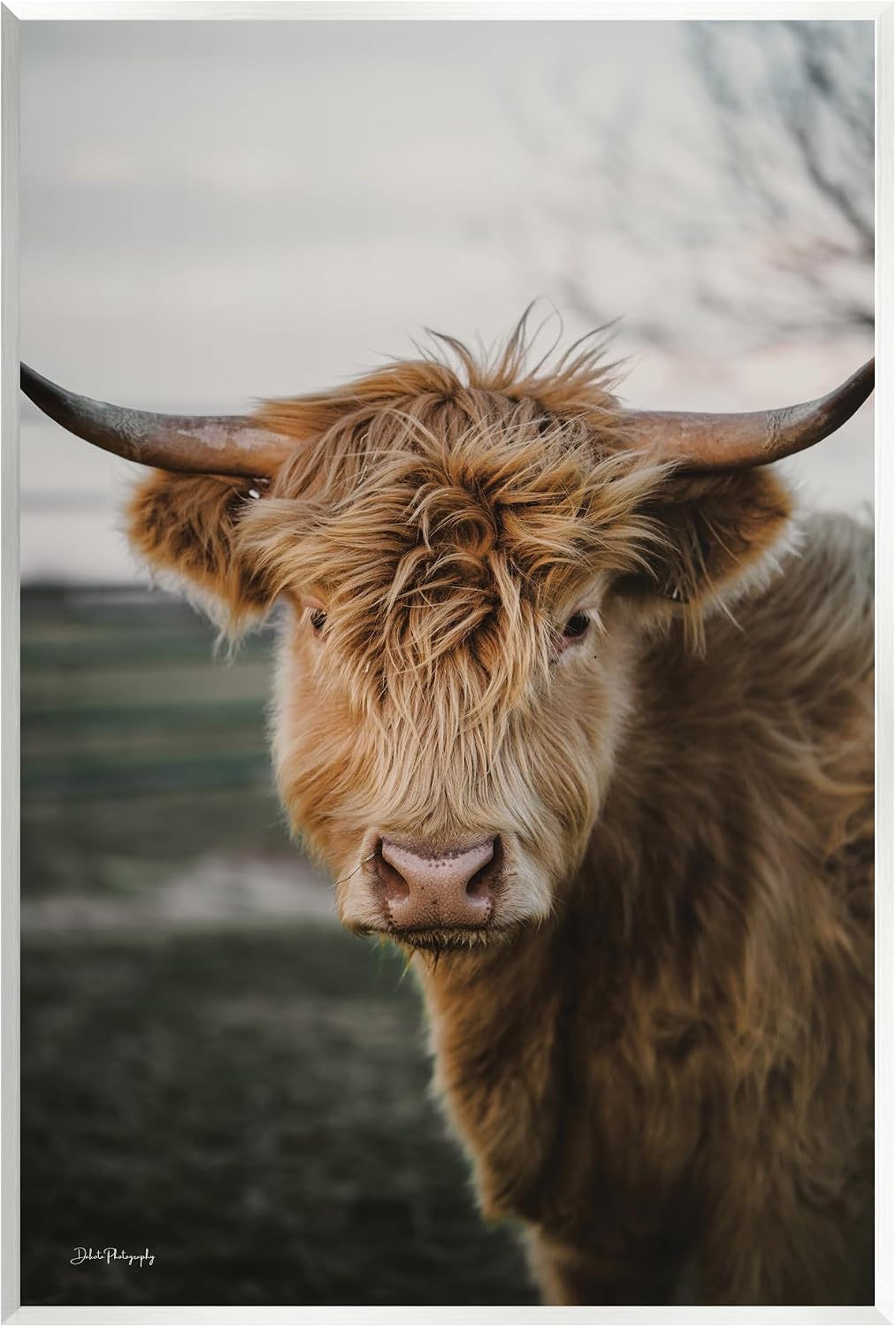 Highland Cow Photography, 13 x 19 Inch Mounted Print on Wall Plaque | Stupell Industries · By Dakota Diener · Ready to hang · Rustic animal photography · Made in USA