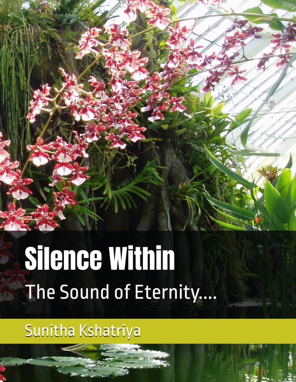 Silence Within: The Sound of Eternity.... (Searching for Eternity)