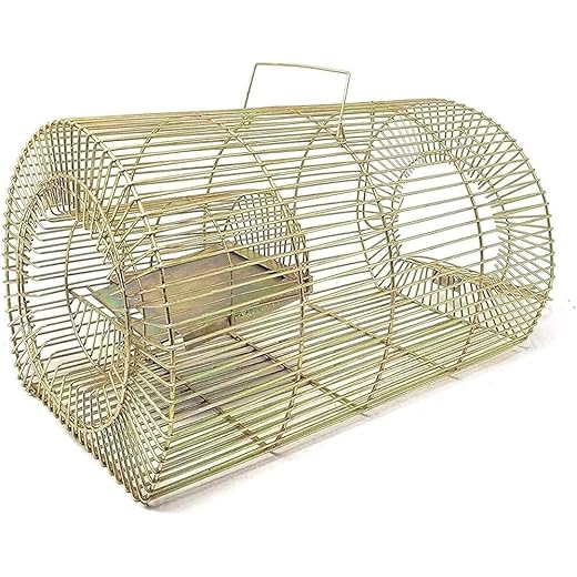 HiCare Mouse/Rat Trap - Big Trap