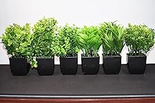 Review Image by Sam Sam