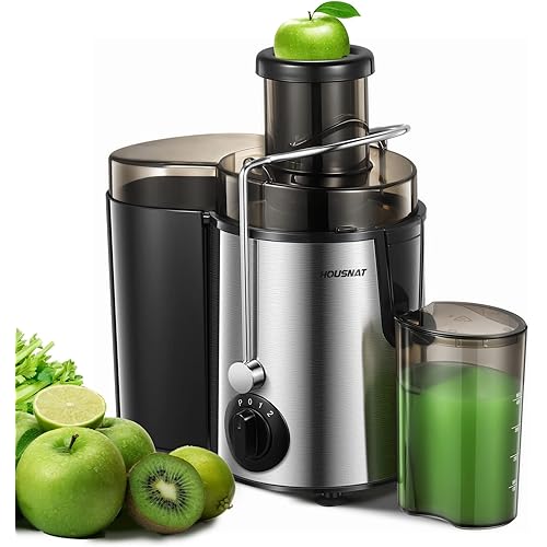 Juicer Machines, HOUSNAT Juicer Whole Fruit and Vegetables with 3-Speed Setting, Upgraded Version 400 W Motor Quick Juicing, Cleaning Brush and Juicing Recipe Included