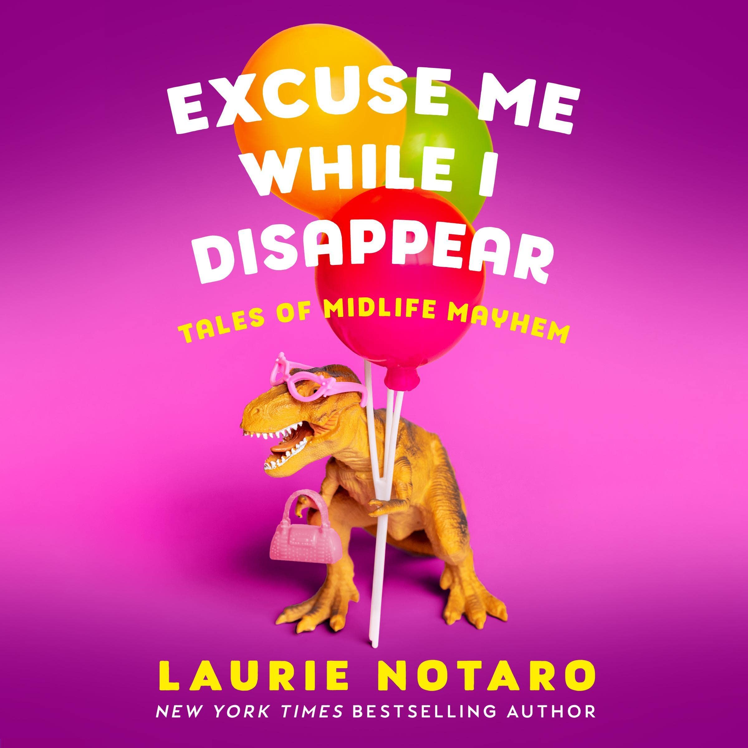 Cover art for Excuse Me While I Disappear