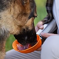 Vista 3 de Messy Mutts Botella de agua de viaje de acero inoxidable con aislamiento al vacío de doble pared con cuenco abatible de silicona, necesidad de viaje