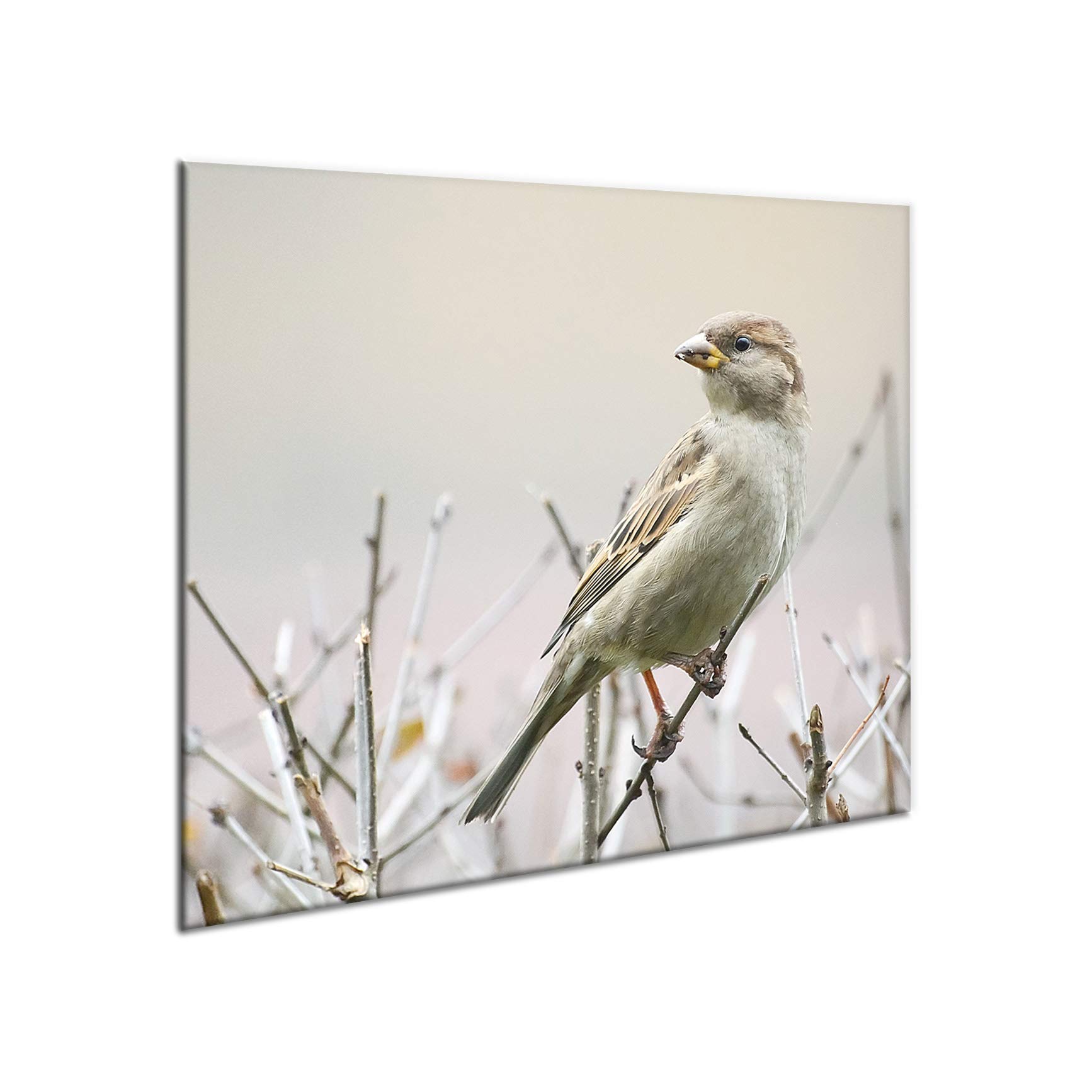 Ceramic Induction Hob Protector Cover 60 cm x 52 cm | Kitchen Wall Splashback | Large Chopping Board | Universal Tempered Glass Panel | Worktop Saver | Food Preparation | Sink Cover | by semUp