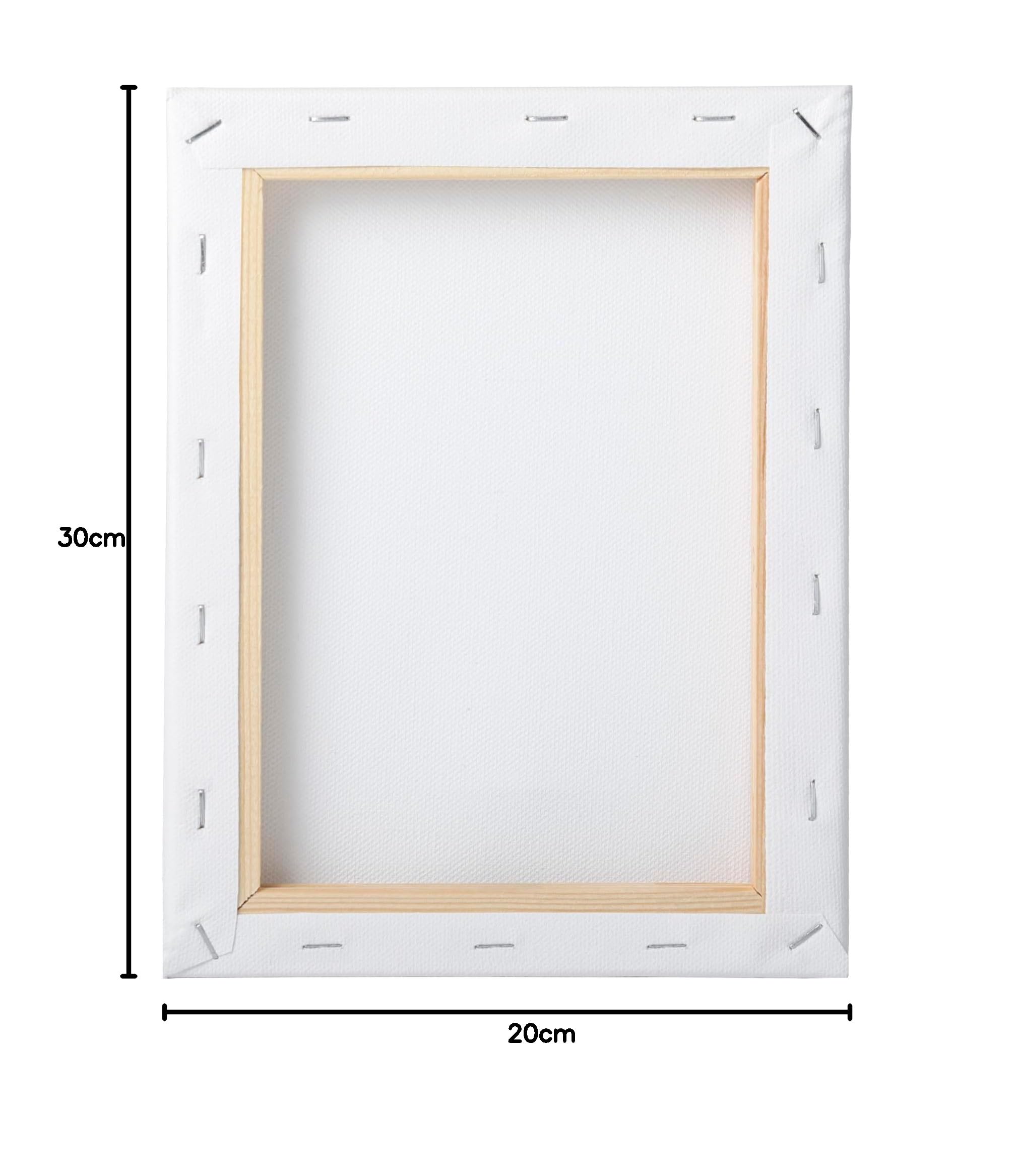 Juego de 10 Bastidores, Lienzos en Blanco de 20 x 30 cm, 100% Algodón, 380 g/m², Lienzo para Pintar