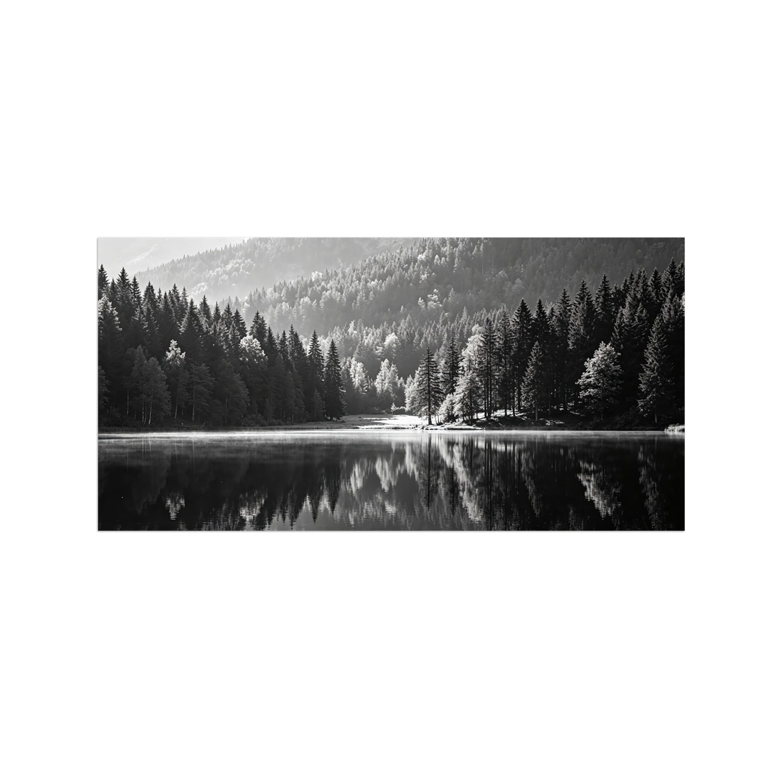 OZPWBVY Black White Landscape Wall Art. Forest Lake. Picture 30x60cm Framed