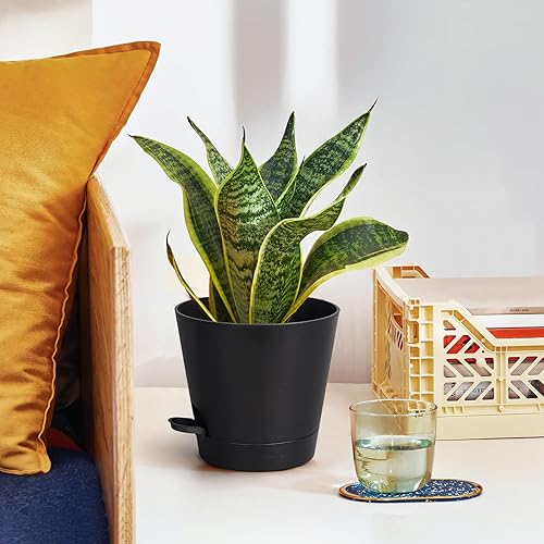 Miniatura 4 de Macetas de riego automático de 8 pulgadas para interiores, paquete de 6 macetas de plástico con agujeros de drenaje, color negro