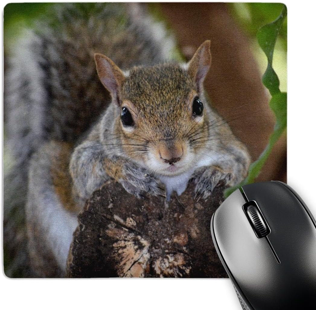 Amazon.com: VANZEV Gaming Mouse Pad, Cute Squirrel Mouse Pad, Desk Mat ...
