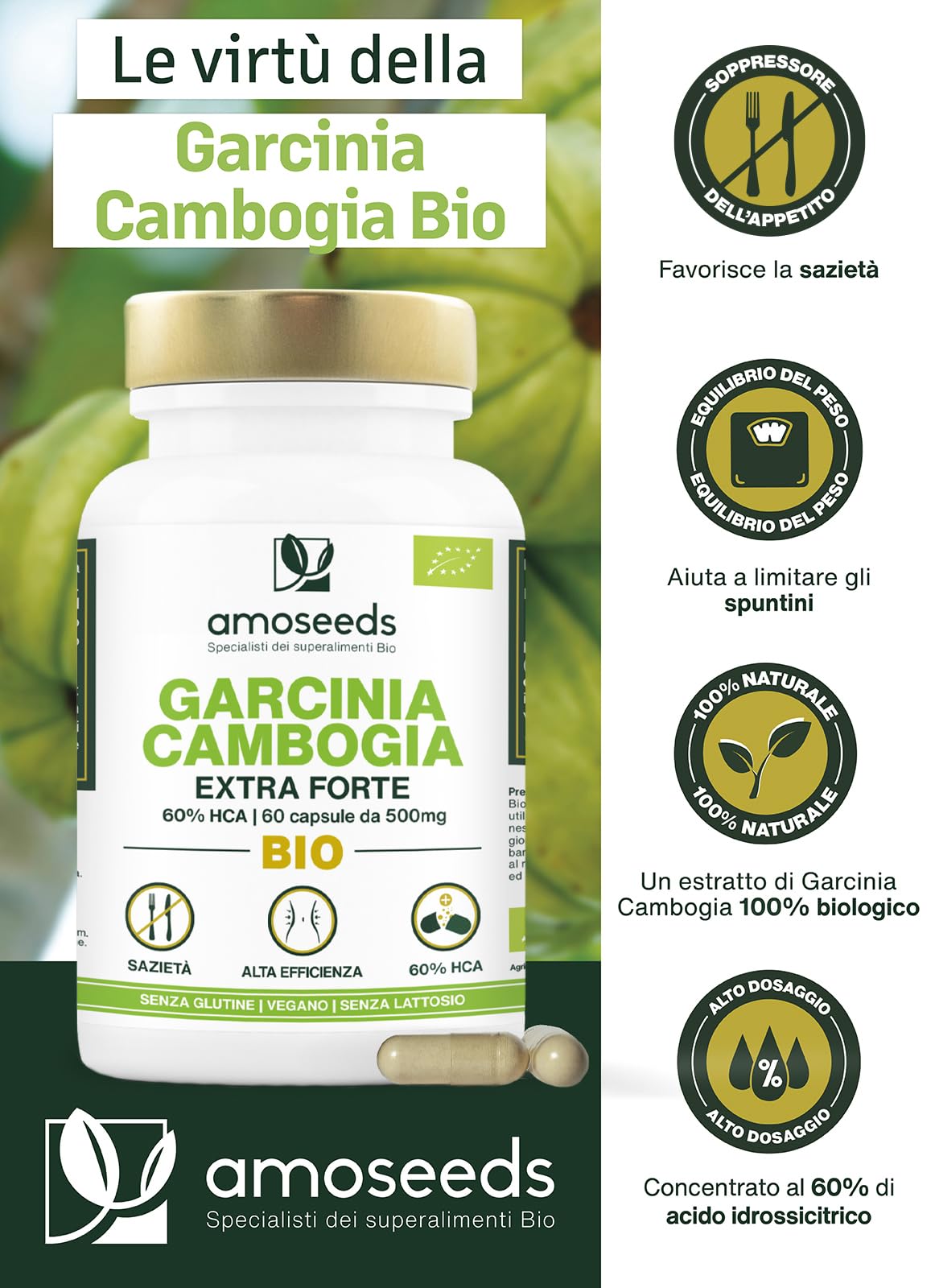 Garcinia Cambogia BIO | Rapida azione ed Efficiente | Alta concentrazione, 60% HCA | 2000mg / giorno | Sazietà | Qualità Superiore