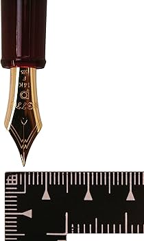 Amazon | プラチナ萬年筆 #3776 ブルゴーニュ 細字 PNB-10000#71-2