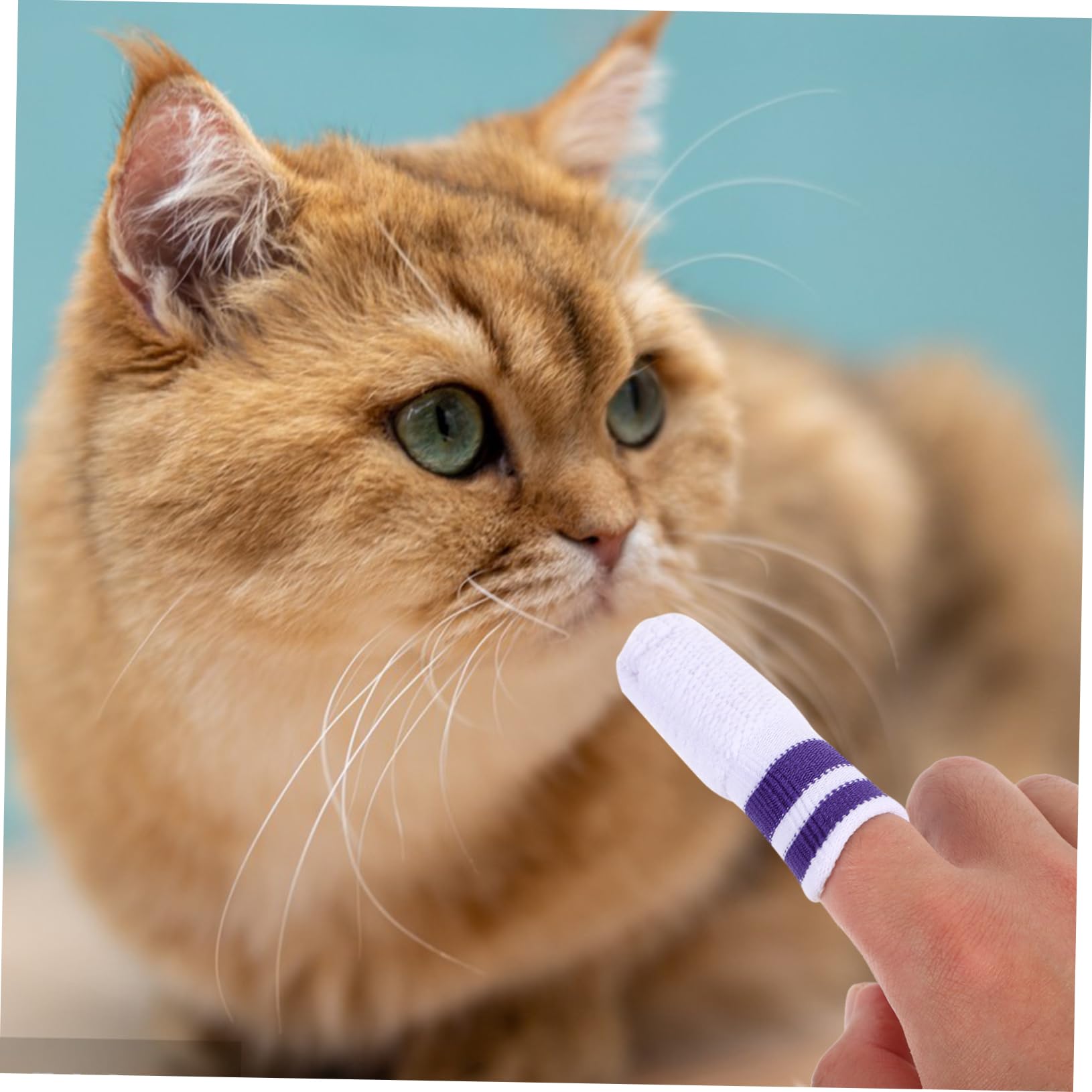 POPETPOP 30 Pièces Doigts de nettoyage pour animaux de compagnie Doigtier de nettoyage buccal pour animaux de compagnie Doigtiers pour de ie lingettes humides nylon