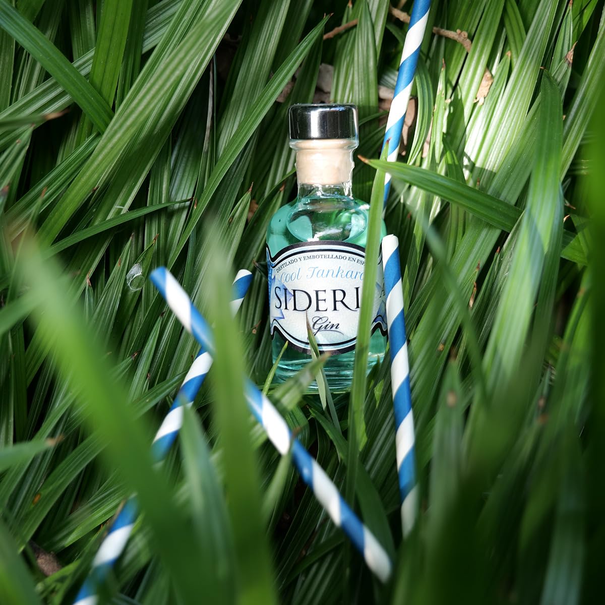 SIDERIT Gin CoolTankard 43% Vol, Pack 12 Miniaturas 50ml – Ginebra artesanal con flor de borraja y botánicos. Destilación en vidrio para pureza excepcional. Dulce y floral.