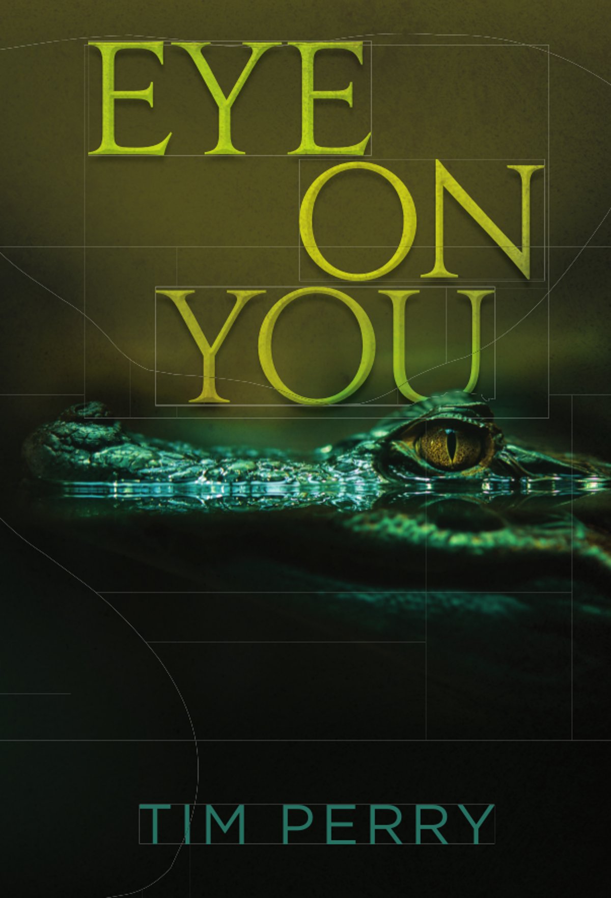 Eye On You (Protectors of America Book 1)