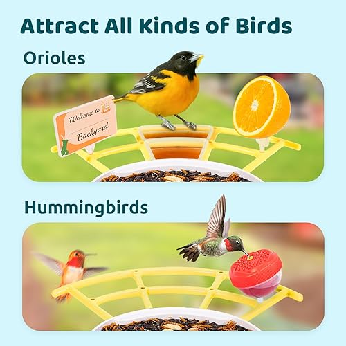 Miniatura 8 de NETVUE Birdfy Pro Perch - Percha de extensión más amplia para complementos de bricolaje, incluyendo bola de sebo, mini comedero para colibríes,