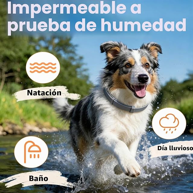 Foto 5 de 8 de Collar antiparasitario Perros,Collar Antiparasitario Gatos 63cm Ajustable Impermeable,Sirve 8 Meses…