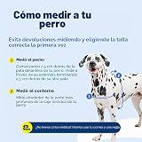 Ver la foto 7
