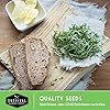 Broccoli Microgreen Seeds for Sprouting - Non-GMO Heirloom Greens for Indoors or Hydroponic Growing - Fast Harvest, Nutrient Dense - Survival Garden Seeds (1 Pack) #4