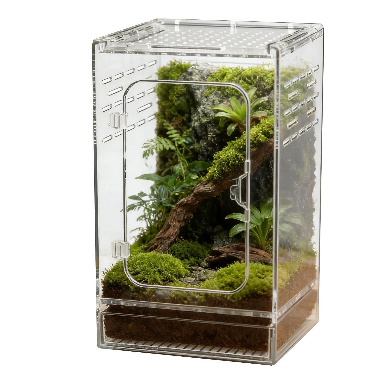 Terrarium skaczące pająki – akrylowe terrarium z pełną przejrzystością | mały wybieg dla gadów jako przestrzeń życiowa, do