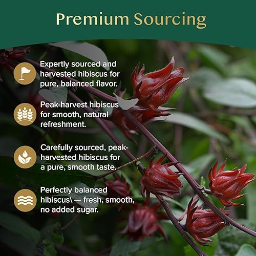 Vista 5 de VAHDAM, Té de hibisco (100 bolsitas de té), sin cafeína, sin OMG, directamente de la fuente, ecológicas envueltas individualmente