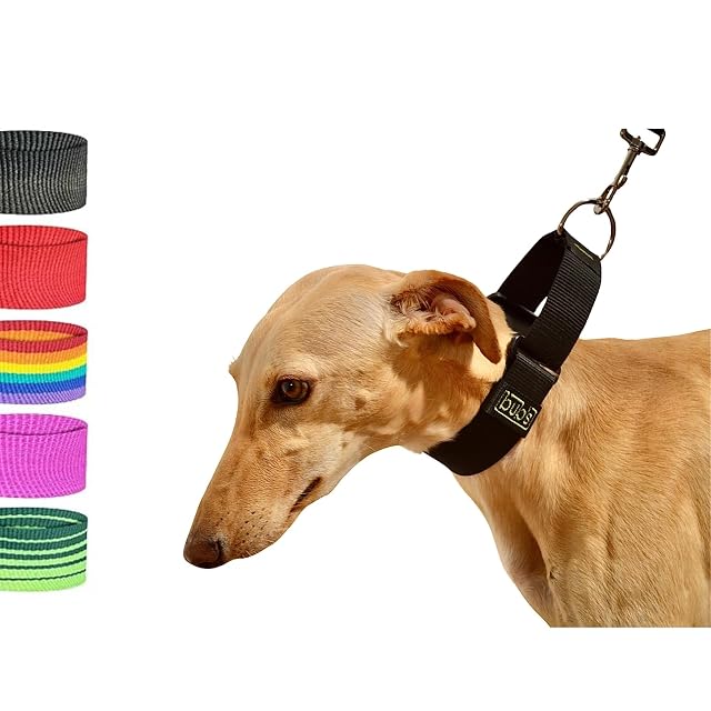 bub's Collar Martingale - Collar para Perro, antialérgico y Suave.Diseñado para Todo Tipo de Razas de Perro…