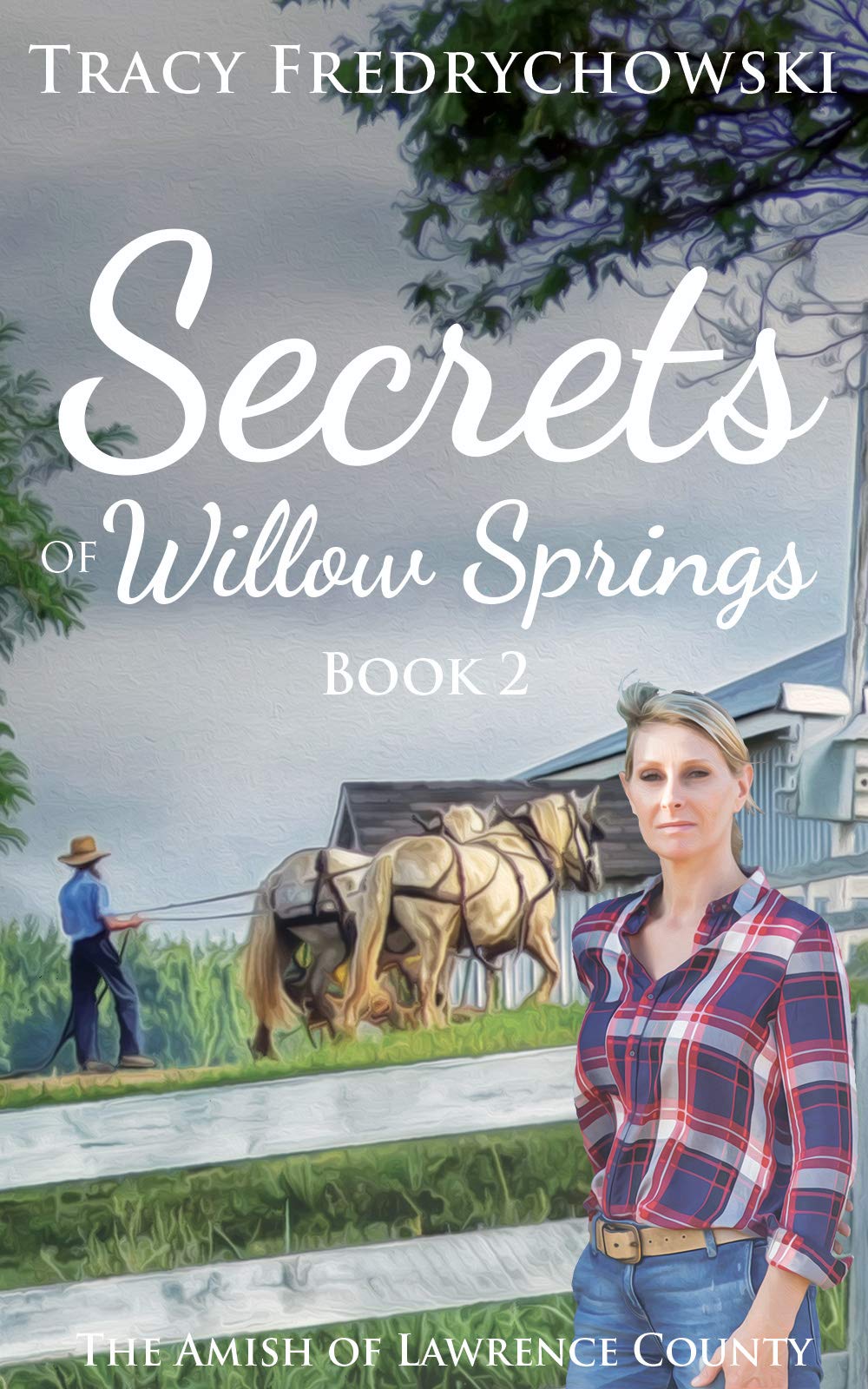 Secrets of Willow Springs - Book 2: An Amish Christian Book (The Amish of Lawrence County)