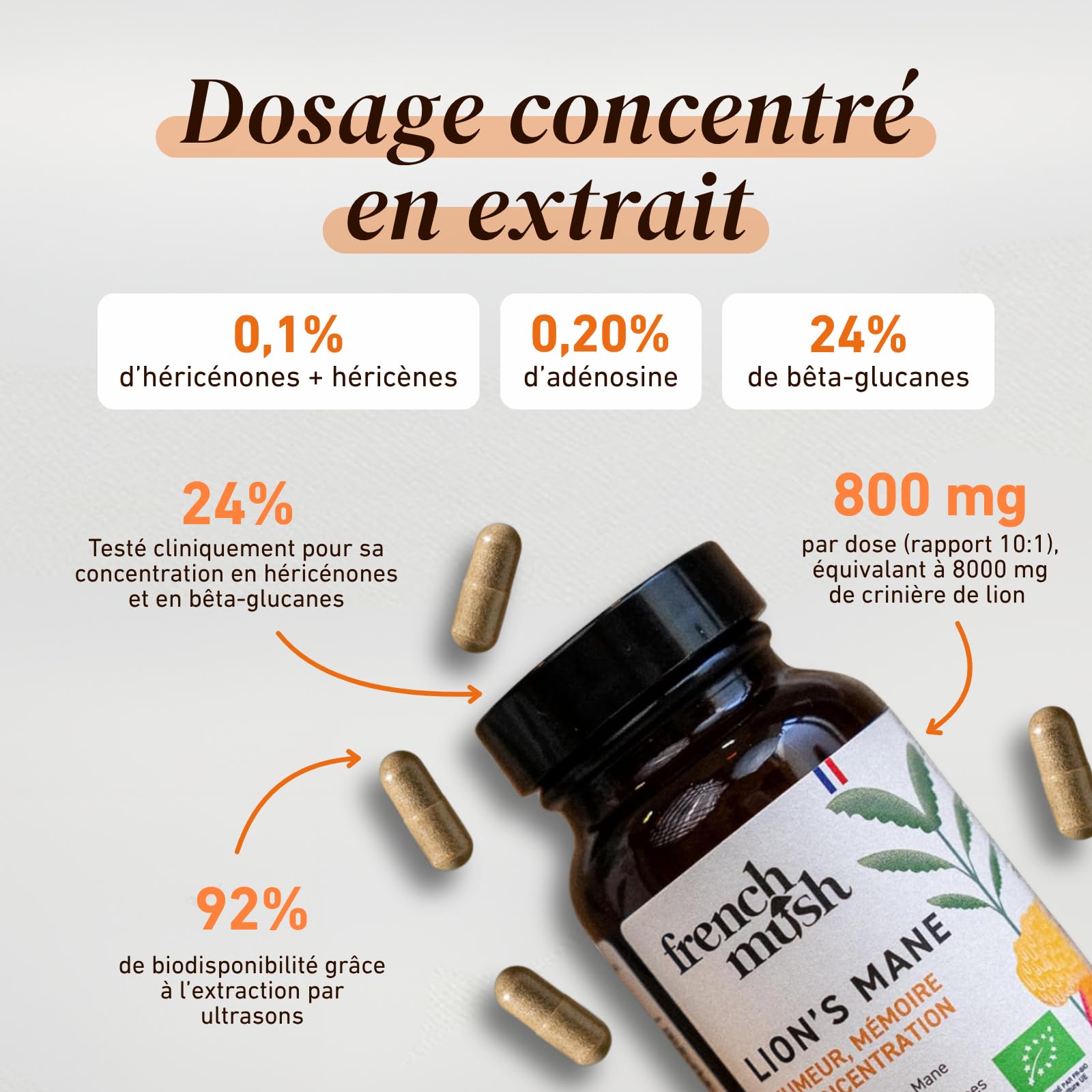 French Mush - Lions Mane Bio 8000 mg - 56 Gélules Vegan pour le Cerveau, Bien-Être, Stabilité Humeur - 1 à 2 Gélules/Jour - Extrait Crinière de Lion Riche en Molécules Bioactives - Fabriqué en France