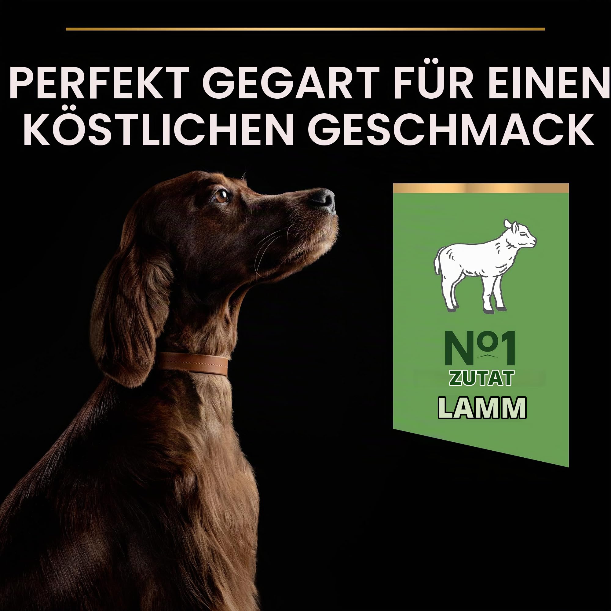 Pro Plan Large Athletic Adult Sensitive Digestion, Hundefutter trocken, reich an Lamm, 1er Pack (1 x 14 kg)