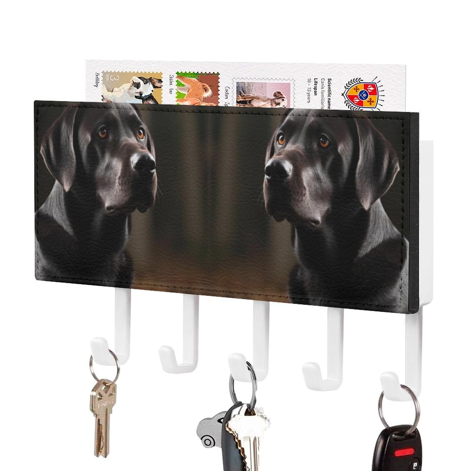 JTREHY Holder Wall-Mounted Key and Mail Holder, Black Labrador Printed Adhesive Key Rack with 5Key Hooks, Easy to Install Mail Organizer for Entryway, Front Door, Hallway, Office