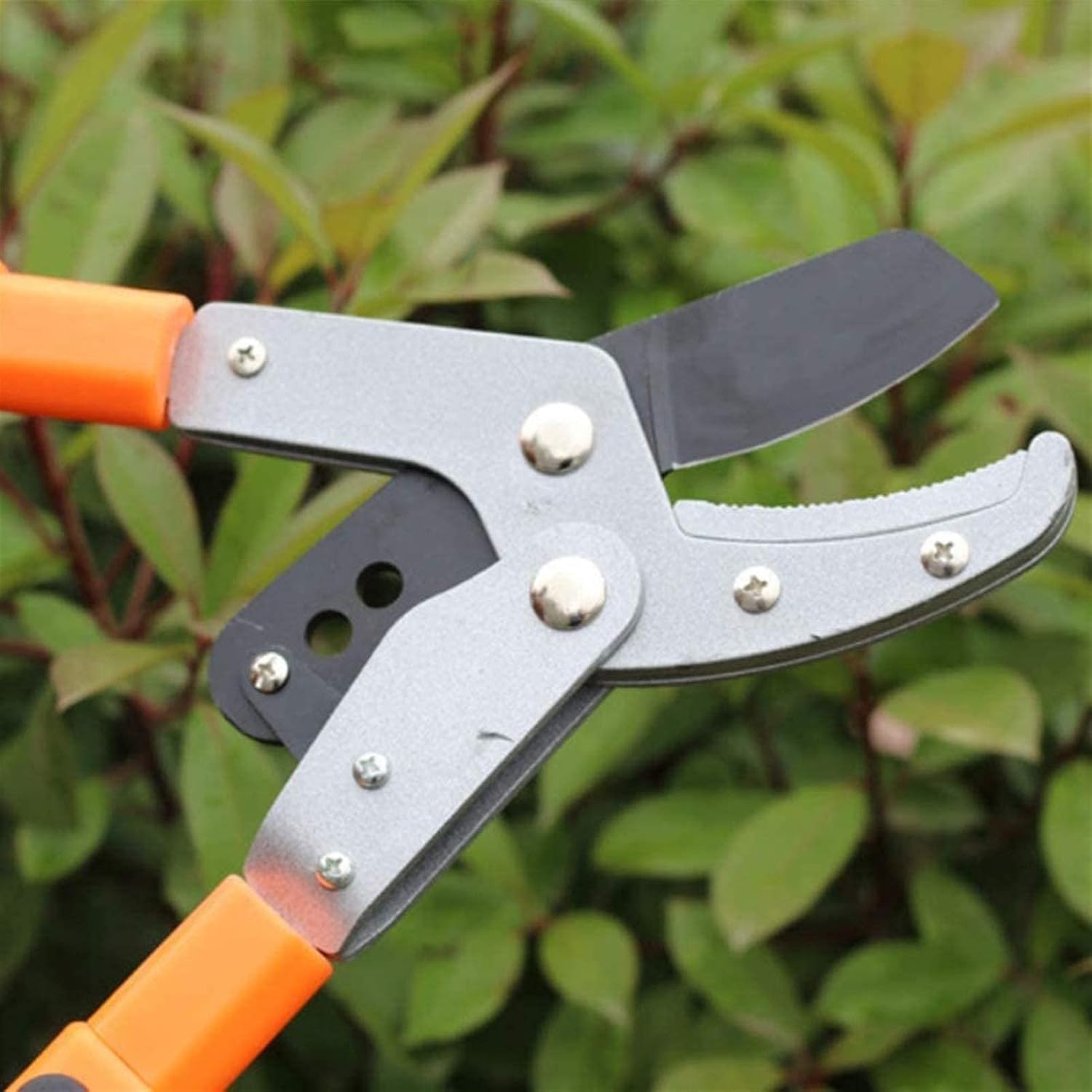 Handheld Extendable Garden Shears Prune Tools Telescopic Ratchet Anvil Lopper Aluminum Alloy Manganese Steel Blade Flat Pruning Fruit Tree Thick Branches