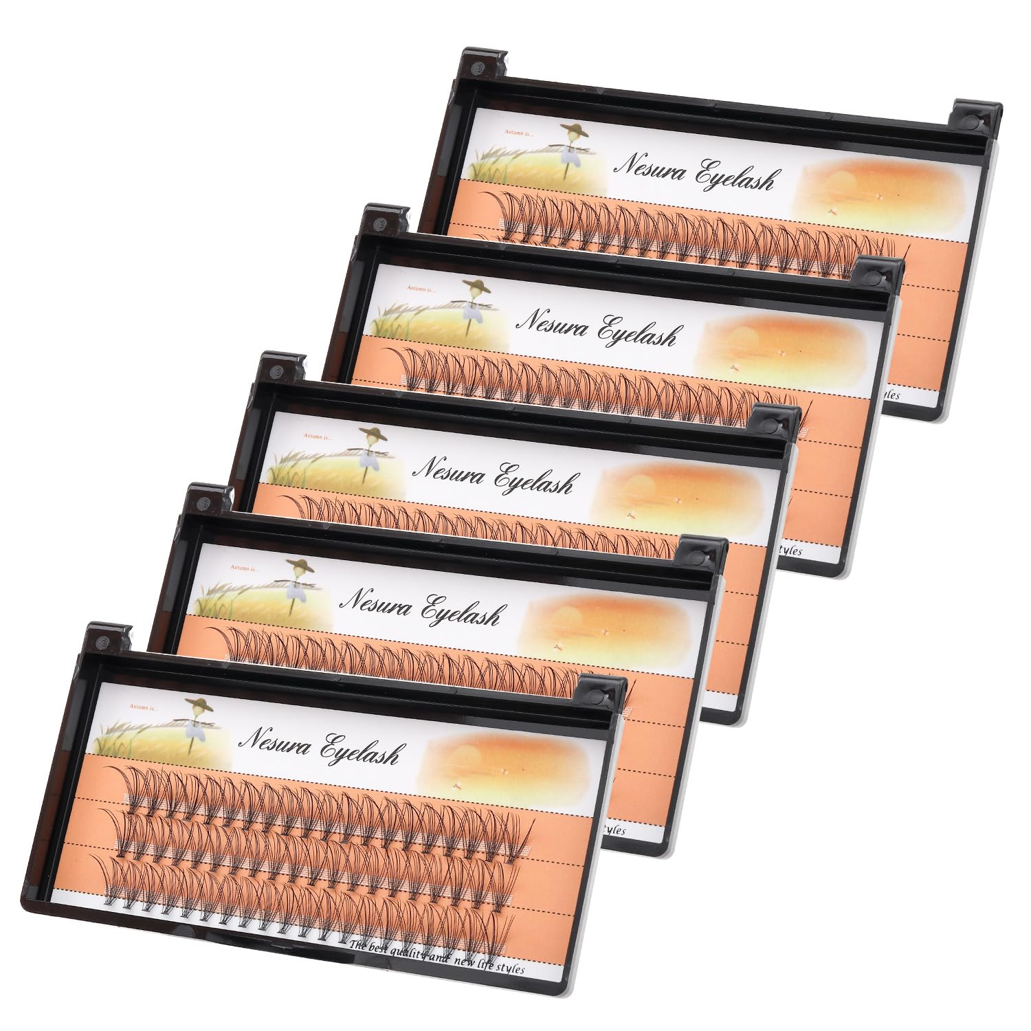 BODERMINCER 10 Root 60pcs 8-10-12-14-16mm Mixed Black Handmade False Eyelashes Natural Long Individual Eyelashes Extension Fake Lashes Makeup Beauty Cosmetic (5 PACKS-12MM)