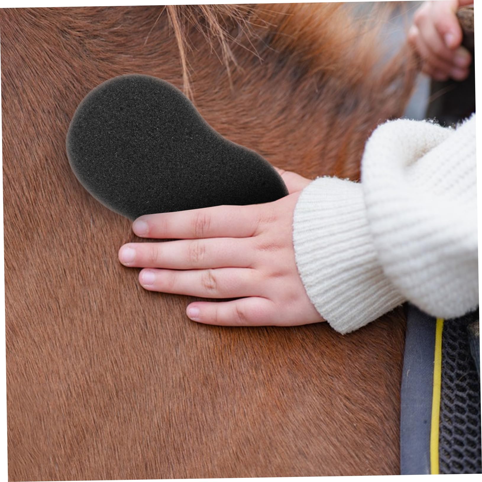 OUNONA Esponjas de Aseo para Ganado 5 Piezas Esponjas de Limpieza Negra Cuidado Diario sin Dañar el Tejido Cutáneo del Caballo