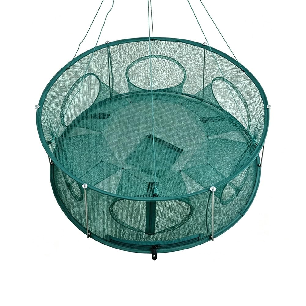 Jaula de Trampa Cebo Pesca Acero Inoxidable | Verde 68 cm y 80 cm: for la pesca de cangrejos, pececillos, cangrejos, ríos y lagos