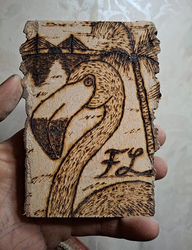 Review Image by This guy
