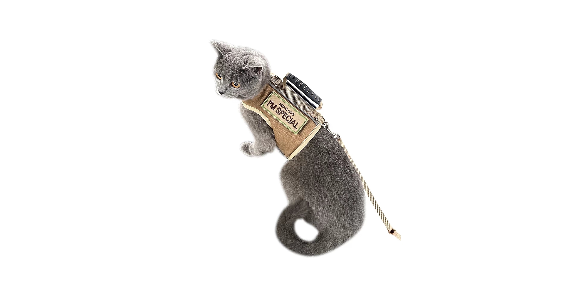 Yizhi Miaow Kitty Harness And Leash For Walking Escape Proof, Adjustable Kitty W