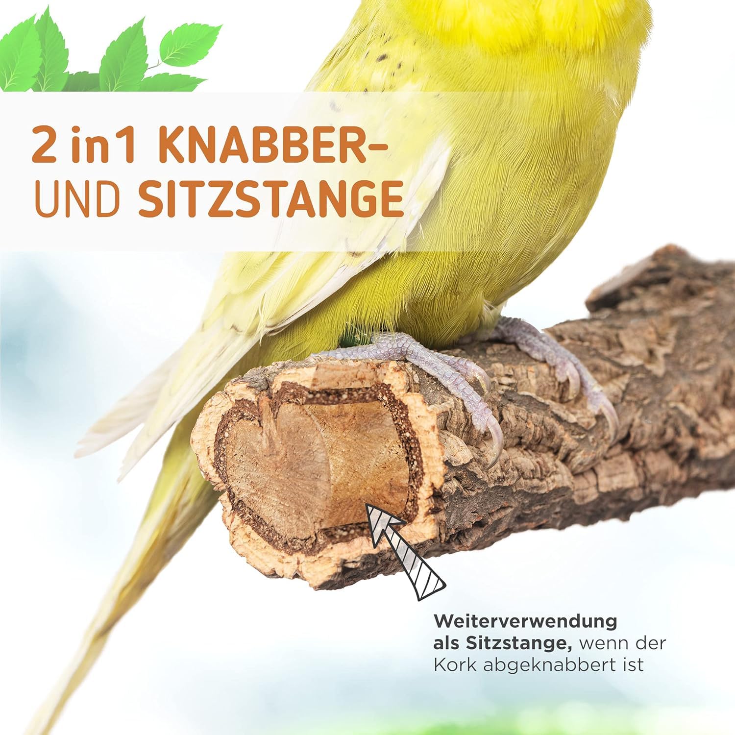 Vogelgaleria® 2 posatoi in sughero con corteccia di sughero per sedersi e sgranocchiare, per uccelli e uccelli, per la cura degli artigli, in sughero