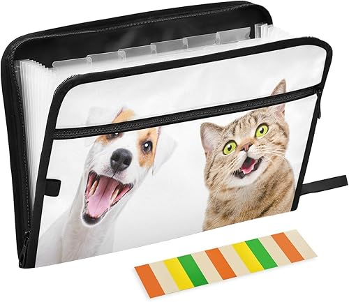 Organizador de carpetas de archivos de 13 bolsillos, tamaño A4carta, resistente al agua, divertido perro Jack Russell Terrier, bolsa de documentos