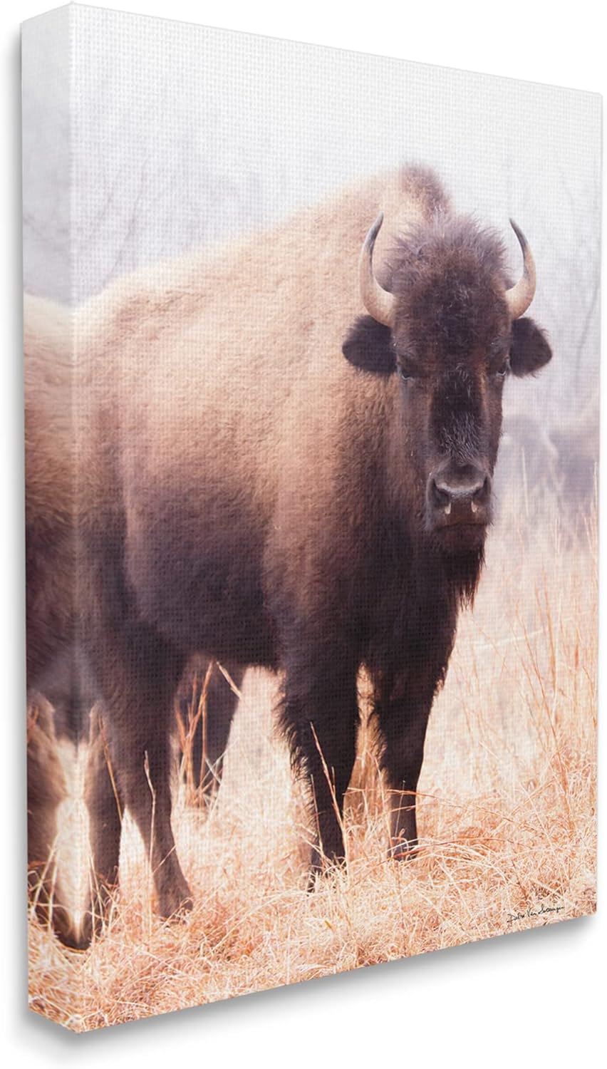 Stupell Industries Wild Cattle Bison Photograph Grassy Autumn Field Cool Tones