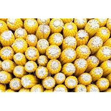 Hancock Seed Co. Reid's Yellow Dent Field Corn Seeds, 50 lbs.
