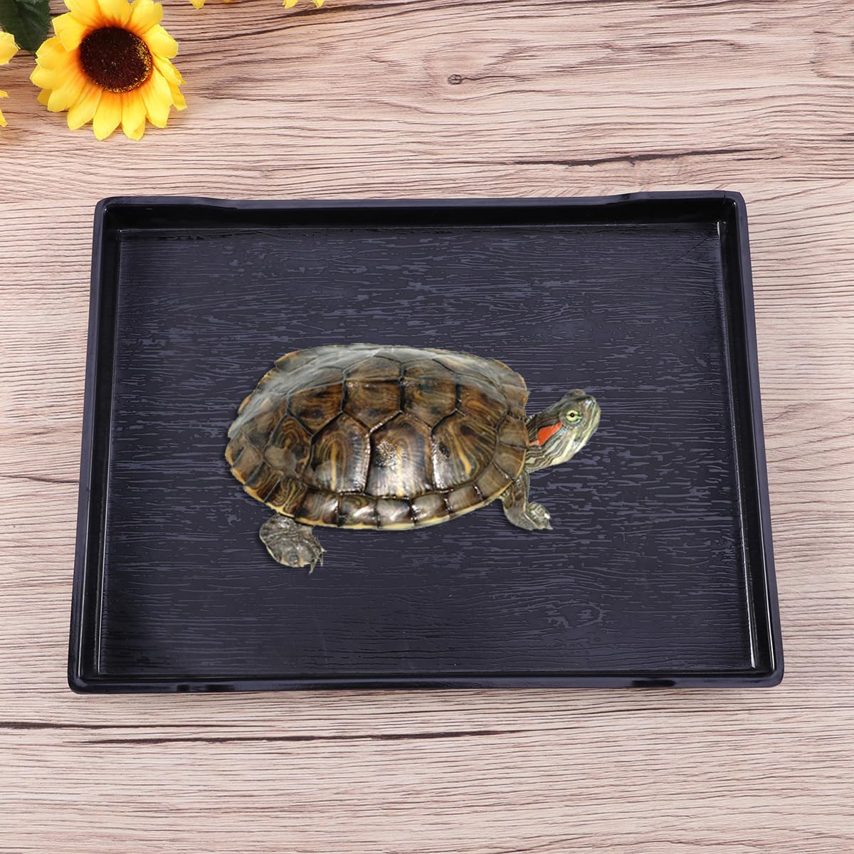 POPETPOP Große Reptilien Wasserschale Und Futterschale Mit Natürlicher Holzmaserung Kippstabil Und Unzerbrechlich Flaches Design Für Schildkröten Baden Und Füttern 9.65X7.09X0.79 Zoll