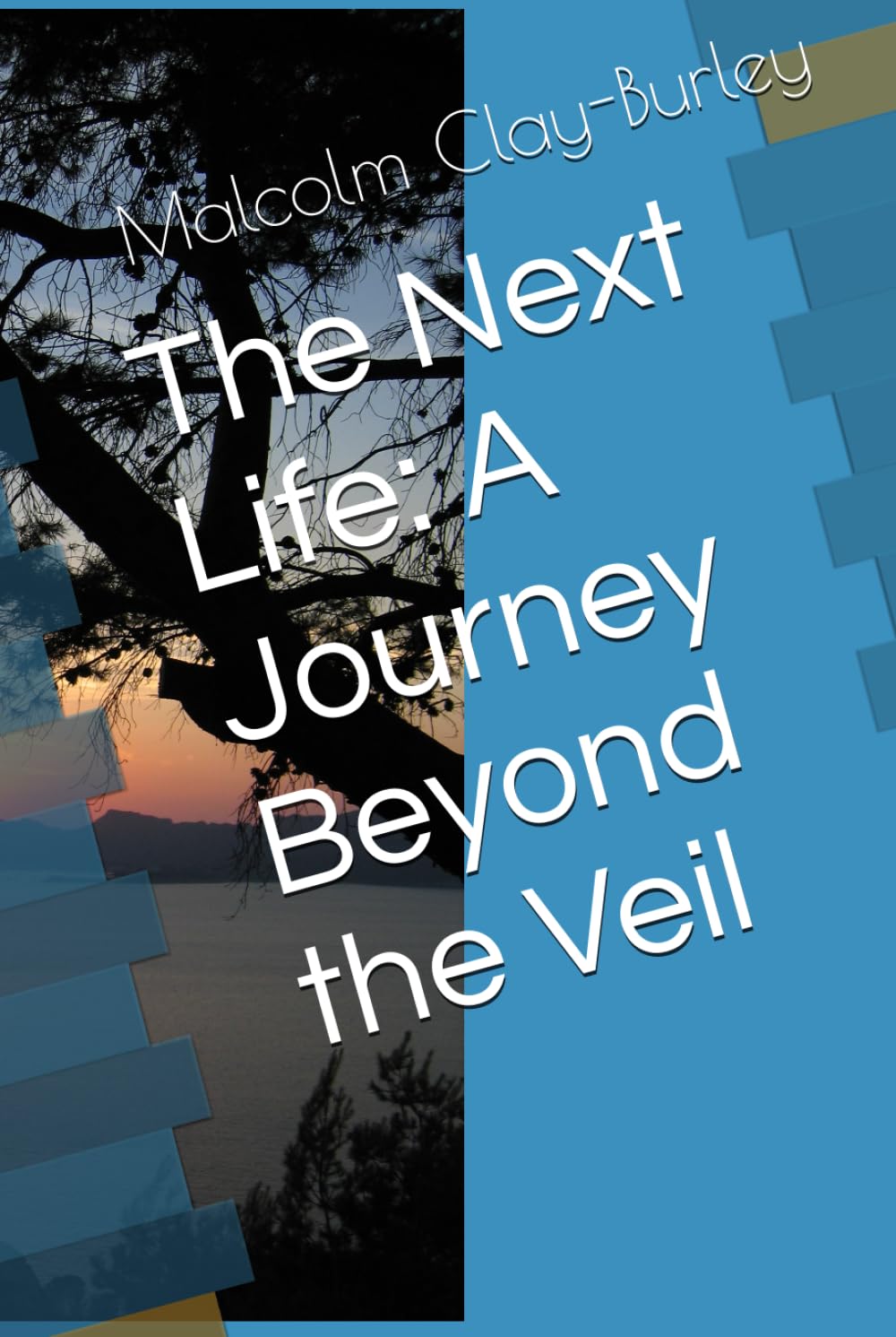 The Next Life: A Journey Beyond the Veil