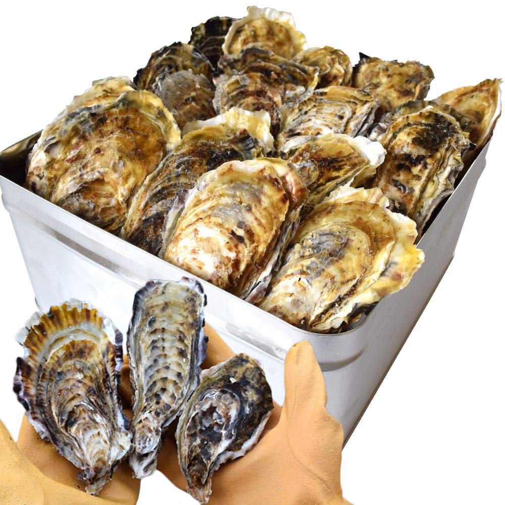 伊勢鳥羽志摩特産横丁 牡蠣 カンカン焼き セット サイズ無選別 ２ｋｇ（２５～３…